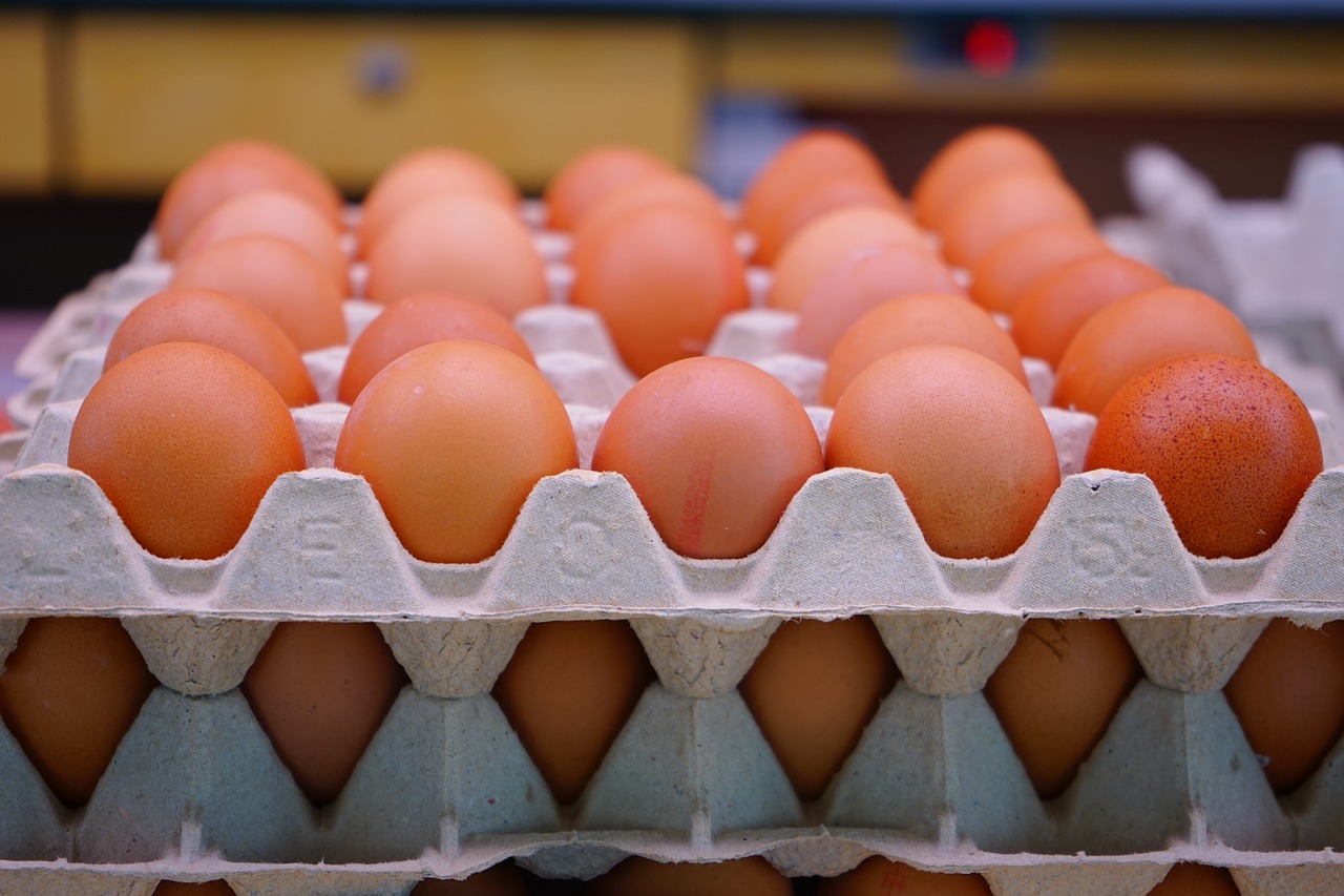 60 Pack Eggs